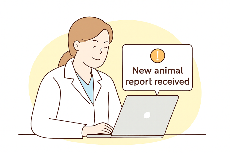 Rescue team helping dog